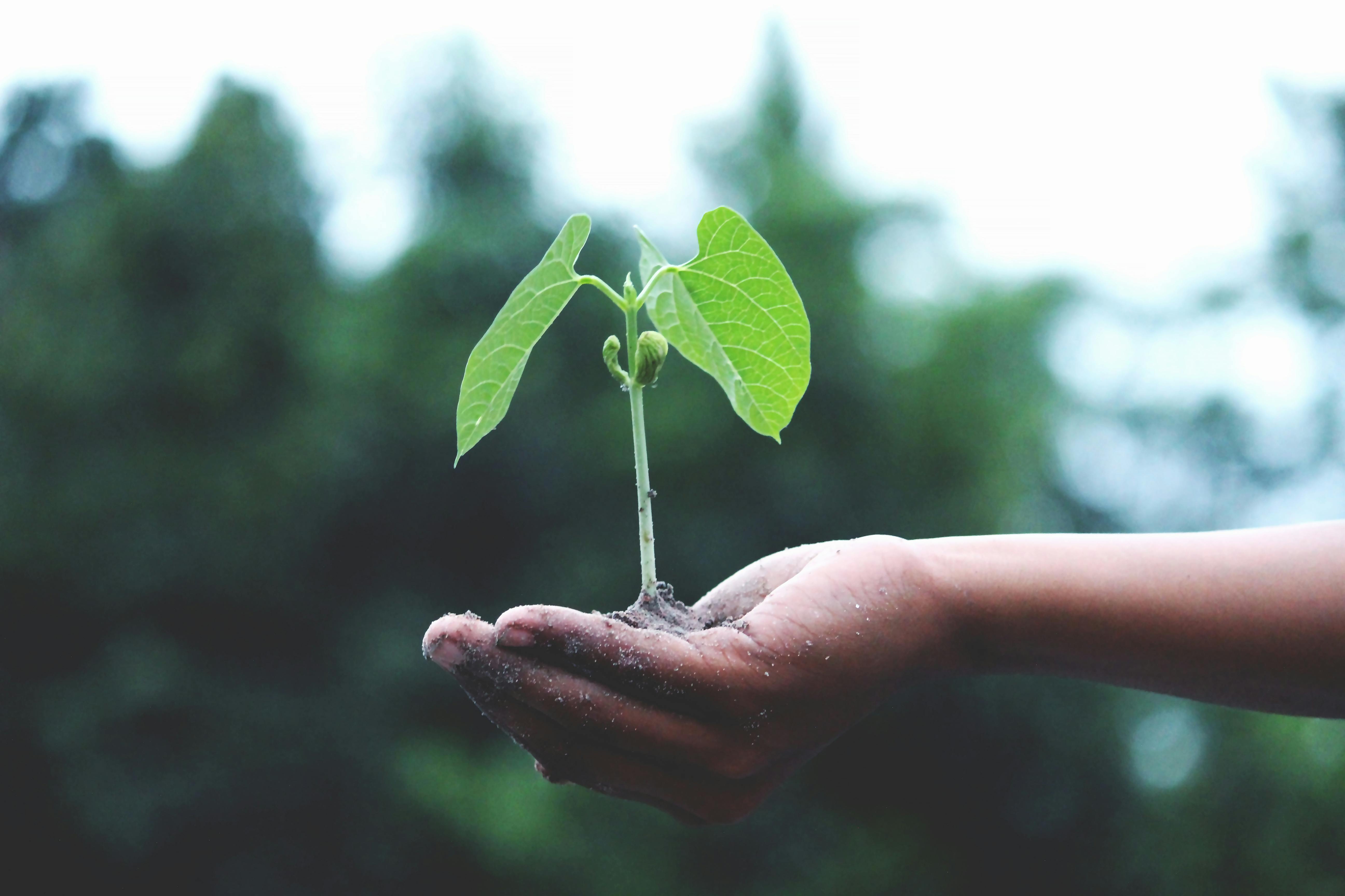 Integration of ESG Reports
